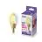 WiZ Smart LED E14 Kaars Filament Goud 5W 370lm | Beste Kleurweergave - Dimbaar - Vervangt 25W