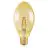Ledvance Vintage 1906 LED E27 Dorée 4W 470lm - 824 Blanc Très Chaud | Équivalent 40W