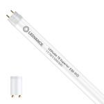Ledvance LED Buis T8 Superior (EM/Mains) High Output 17.7W 3100lm - 840 Koel Wit | 150cm - Vervangt 58W