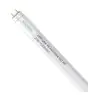 Noxion LED Buis T8 Avant Extreme (HF) High Output 20W 3100lm - 865 Daglicht | 150cm - Vervangt 58W