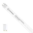 Ledvance LED Buis T8 Value (EM/Mains) Standard Output 6.6W 800lm - 865 Daglicht | 60cm - Vervangt 18W
